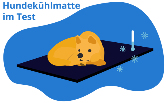 Hunde Kühlmatten
