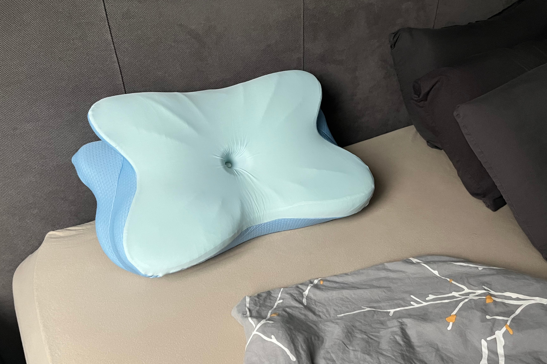 oreilller derila ergo