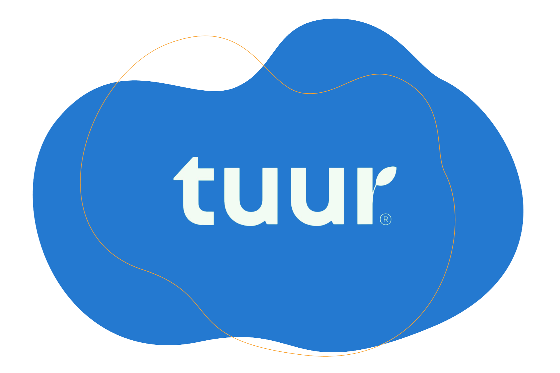 Tuur Erfahrungen
