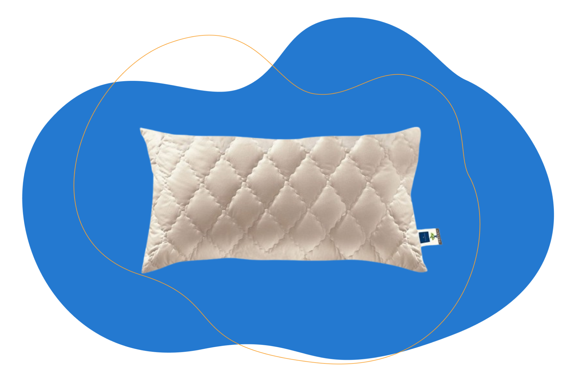 Billerbeck Zirberella Wool